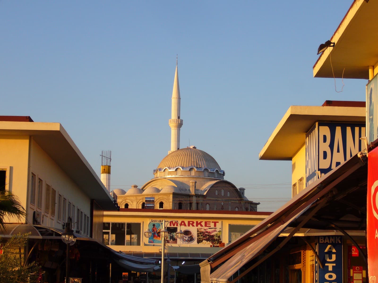 Okurcalar